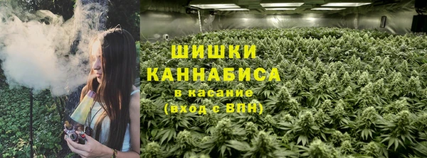 2c-b Вяземский
