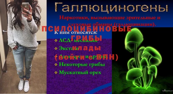 прущая мука Вязьма
