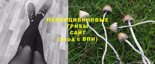 спайс Волоколамск