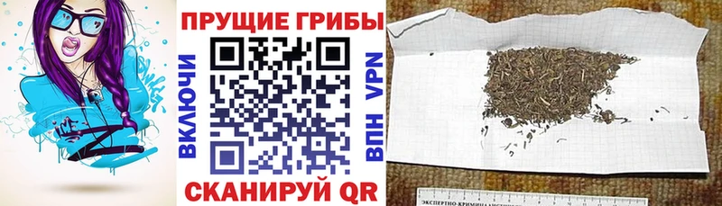 Галлюциногенные грибы прущие грибы  купить наркотик  MEGA ТОР  Дубовка 